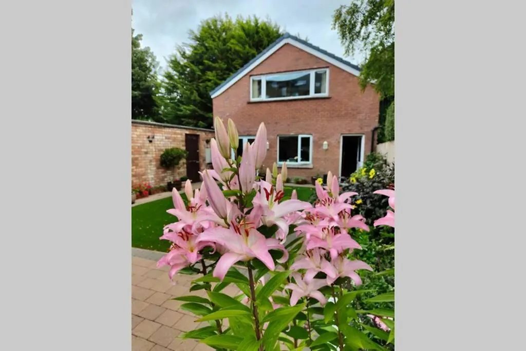 Bt 9 Granny Flat & Walled Garden Белфаст 0*,